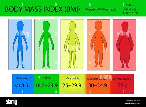 Grafico BMI e gradi di obesità