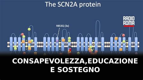 Diagramma del gene SCN2A e la sua funzione