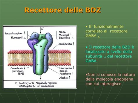 Schema del recettore GABA con legame delle benzodiazepine