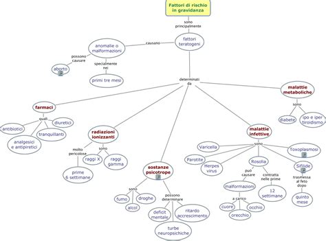 Mappa concettuale che illustra i fattori di rischio per i DSA