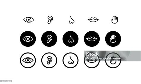 Illustrazione che mostra diversi sensi (udito, vista, tatto, olfatto, gusto) con icone che rappresentano stimoli potenzialmente sovraccaricanti per persone autistiche