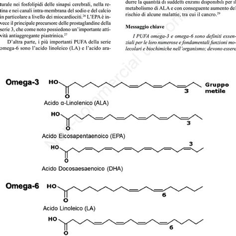 Diagramma molecolare degli acidi grassi Omega-3