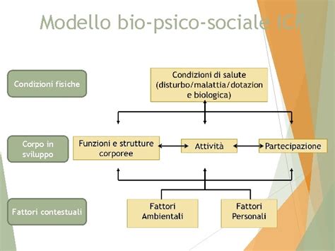 schema che illustra i fattori bio-sociali nello sviluppo del DBP