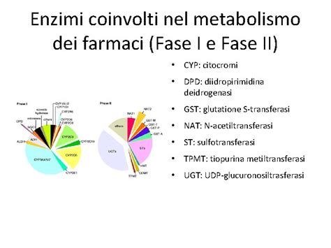 Schema del metabolismo epatico dei farmaci