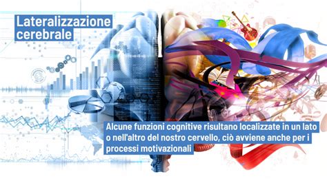 Diagramma che illustra i concetti di lateralizzazione cerebrale e preferenza emisferica.