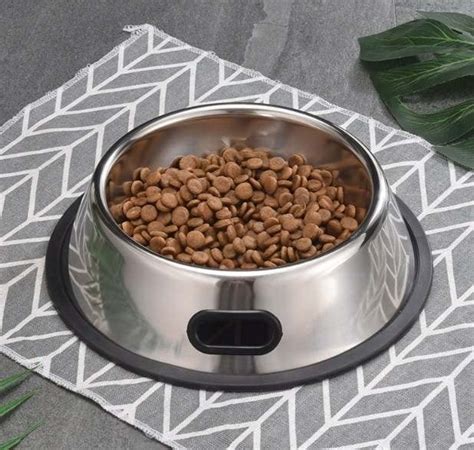 ciotola di crocchette e cibo umido per cani