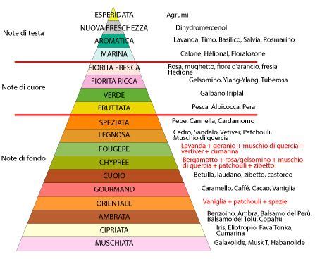 composizione di un profumo con note di testa, cuore e fondo