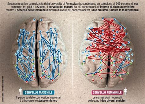Diagramma che illustra le differenze cerebrali tra maschi e femmine con DSA