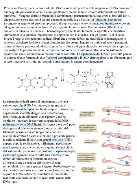 schema che illustra i meccanismi di controllo dell'anoressia