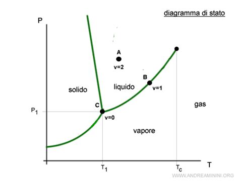 Diagramma delle fasi dell'infezione erpetica
