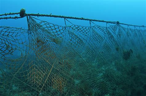 Immagine di reti da pesca abbandonate sul fondale marino
