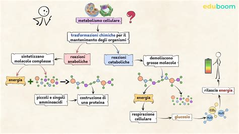 Infografica che illustra il flusso di energia psichica e il ruolo della coazione a ripetere
