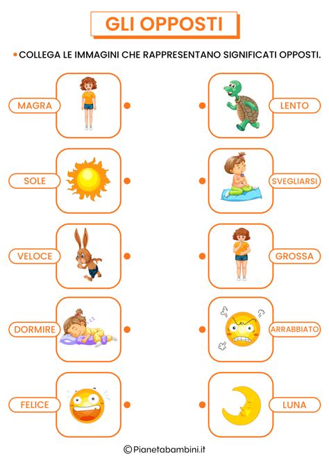Schema del Test TCR con immagini di opposti