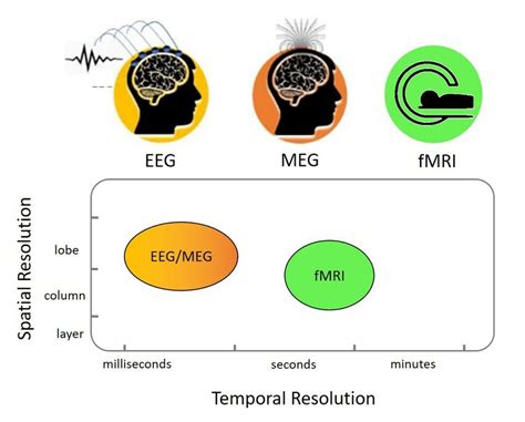 Illustrazione di tecniche di neuroimaging come fMRI e EEG
