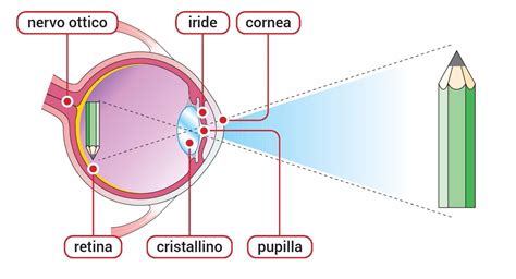 Immagine stilizzata di un occhio che guarda attraverso un bersaglio a distanza