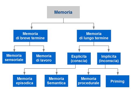 Schema dei diversi tipi di memoria umana