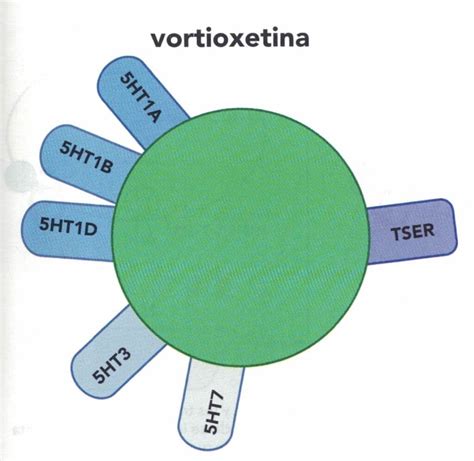 Diagramma che illustra il meccanismo d'azione multimodale della vortioxetina