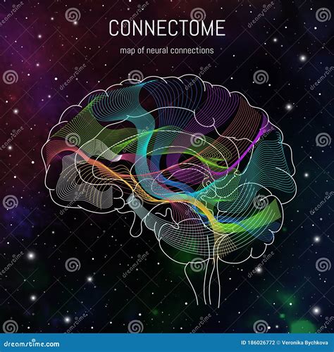 Illustrazione della mente come rete complessa