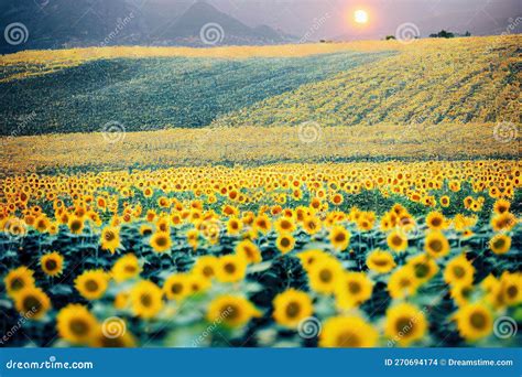 Sole che splende nel cielo azzurro