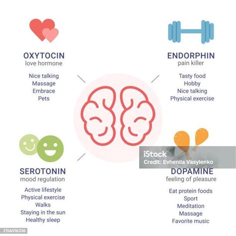 Schema del funzionamento della serotonina nel cervello