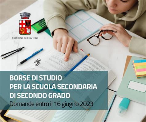 Diagramma che illustra i diversi indirizzi di studio della scuola secondaria di secondo grado