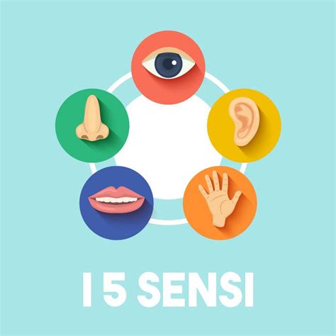 diagramma dei 5 sensi più vestibolare e propriocettivo