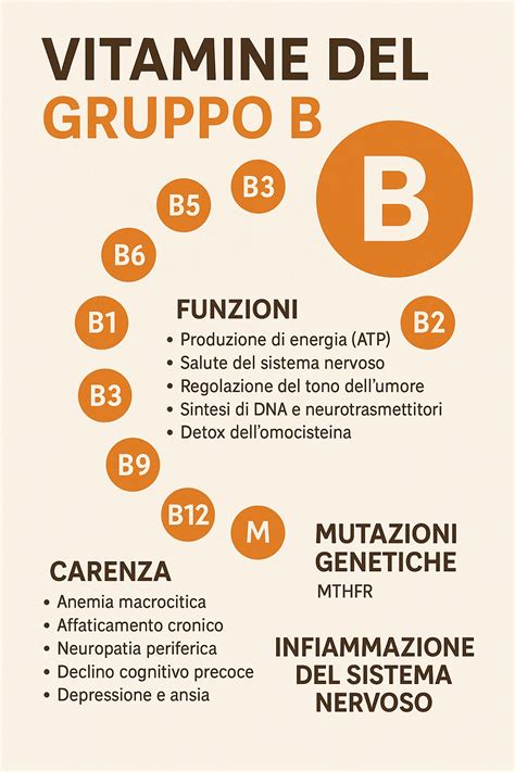Diagramma delle Vitamine del Gruppo B