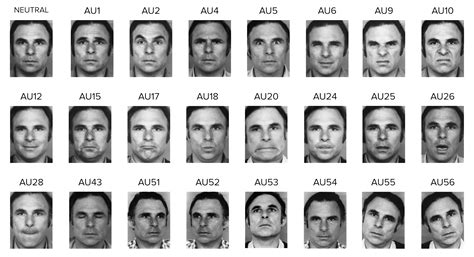 Schema che illustra le Action Unit (AU) del FACS