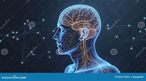 Illustrazione concettuale del sistema BodyBrain