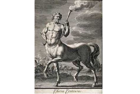 Raffigurazione del Centauro Chirone