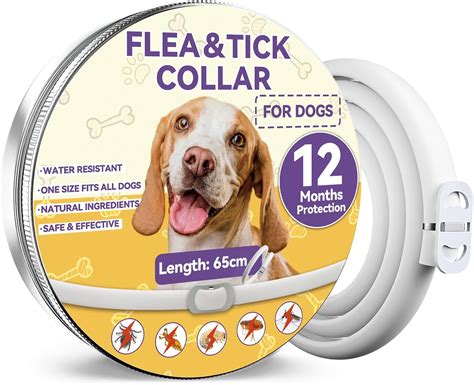 cane con collare antiparassitario