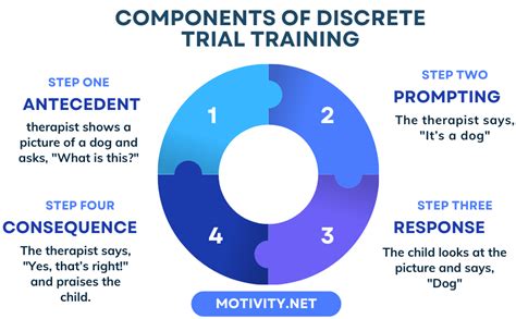 Schema del Discrete Trial Training (DTT)