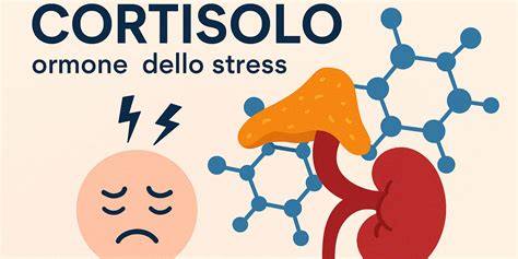 Diagramma che illustra l'effetto del cortisolo sul corpo