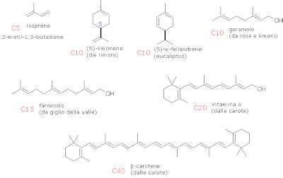 Composizione chimica di alcuni oli essenziali e loro spettro d'azione