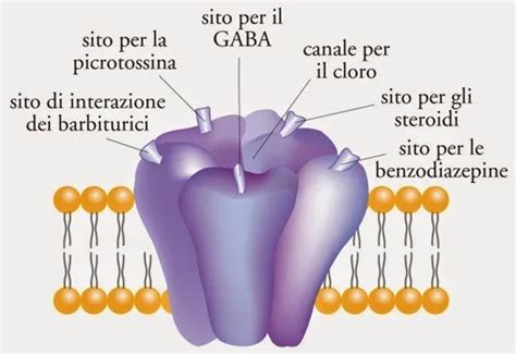 Diagramma del recettore GABA con legame di benzodiazepine