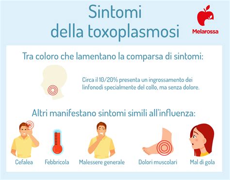 Schematizzazione dei sintomi della Toxoplasmosi in base allo stato immunitario