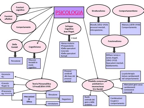 Diagramma che illustra le principali aree di studio della psicologia generale
