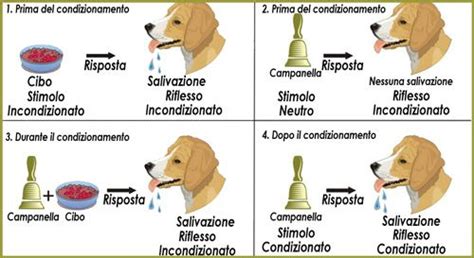 Schema illustrativo del condizionamento classico e operante