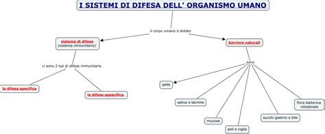 Rappresentazione schematica delle linee di difesa dell'organismo umano