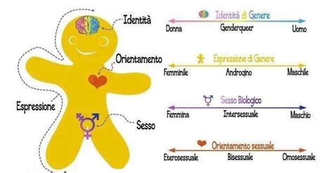 Diagramma che illustra la differenza tra sesso biologico, identità di genere ed espressione di genere