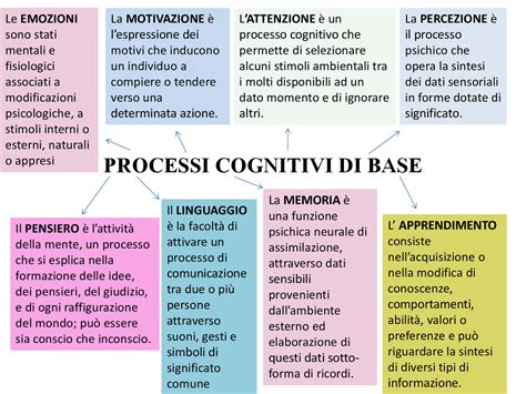 Schema dei processi cognitivi