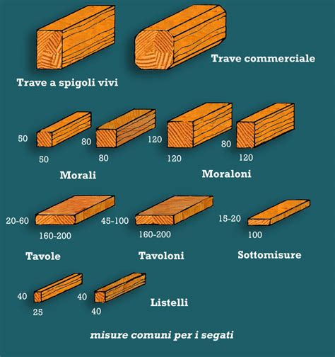 Schema delle proporzioni fisiche del tipo Legno