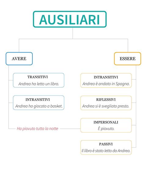 Infografica comparativa tra 