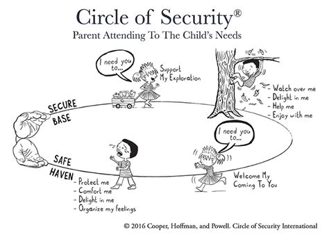 un grafico che illustra il circle of security parenting