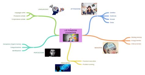 Schema che illustra le diverse funzioni cognitive