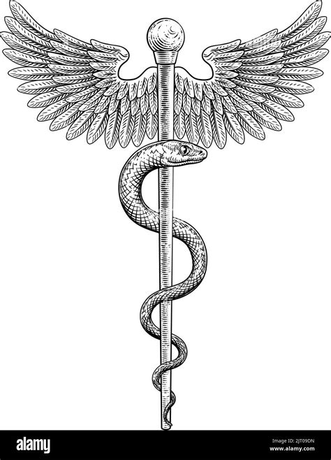 Simbolo archetipico del serpente