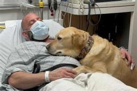 Illustrazione di un cane che veglia sul suo padrone