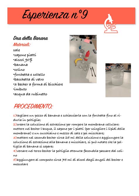 Schema di un vero esperimento