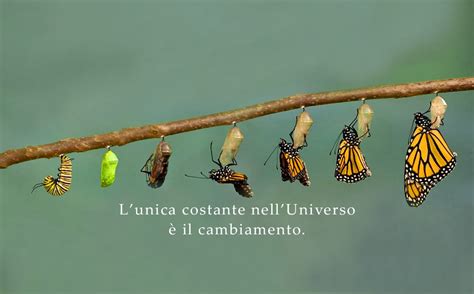 Il concetto di trasformazione e cambiamento