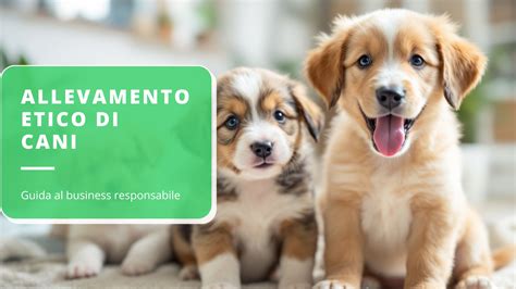 cuccioli di cane in un allevamento